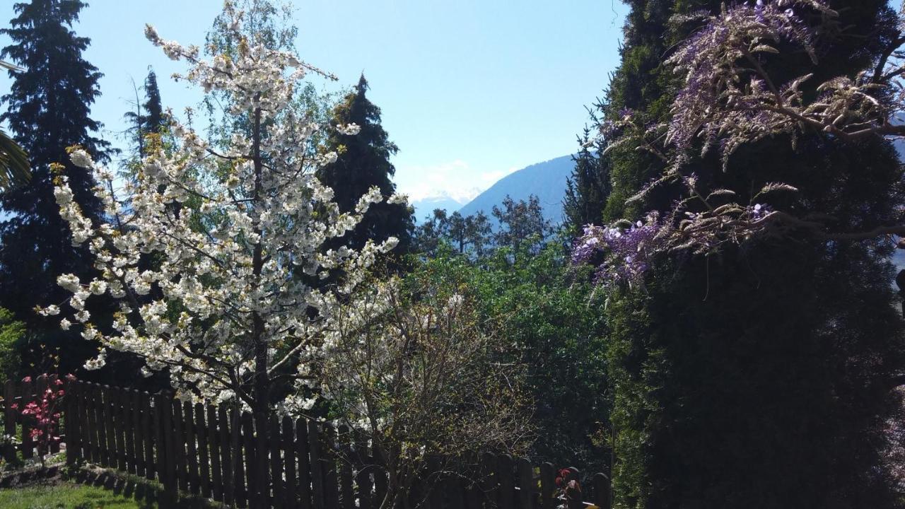 Laugen Rainegg Apartamento Schenna Exterior foto